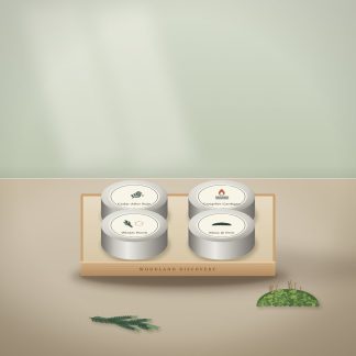 Woodland Discovery Set (illustration)